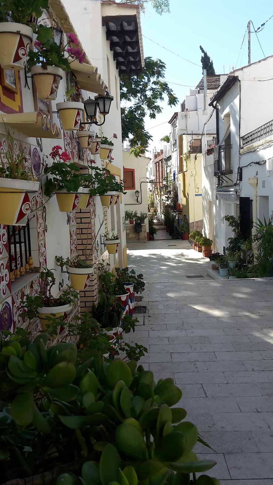 Alicante, Elche, Murcia