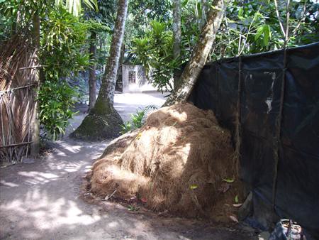 Indien 2008